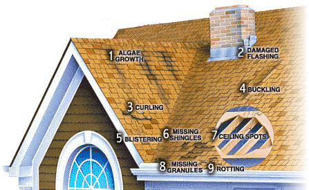 roofing contractors, roof shingles, roofers, roofer, roofing, roofing contractor